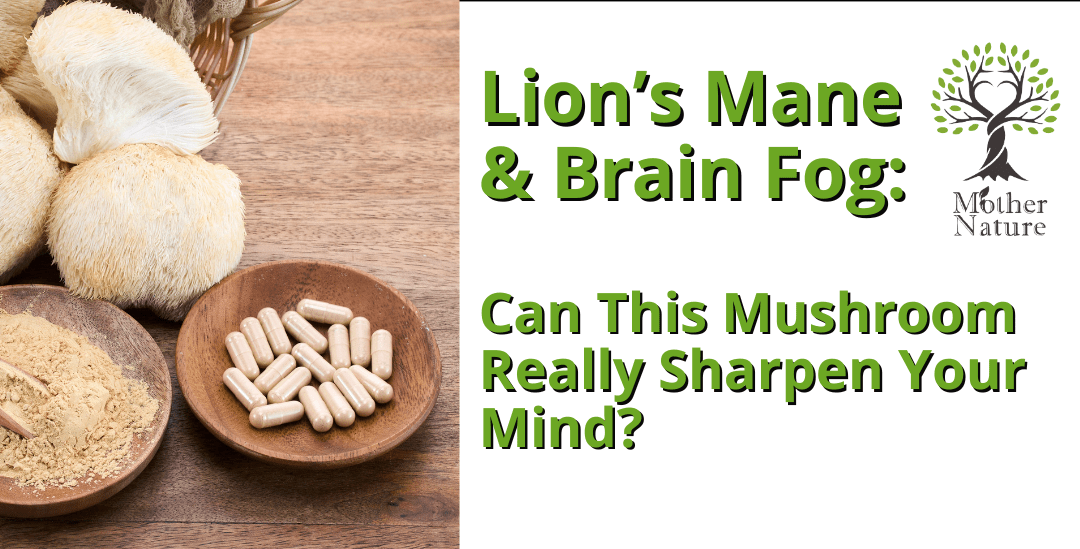 Lion’s Mane & Brain Fog: Can This Mushroom Really Sharpen Your Mind? - MOTHER NATURE SUPPLEMENTS