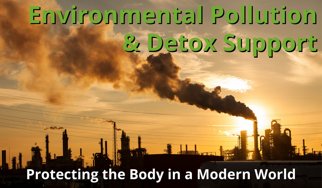 Environmental Pollution and Detox Support - Protecting the Body in a Modern World