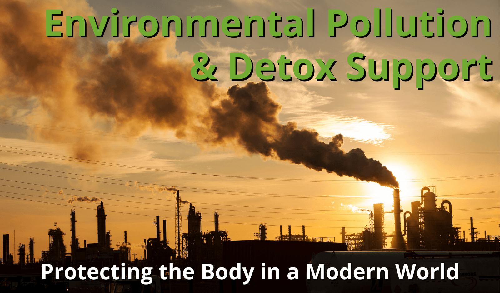 Environmental Pollution and Detox Support - Protecting the Body in a Modern World - MOTHER NATURE SUPPLEMENTS