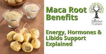 Maca Root Benefits: Energy, Hormones & Libido Support Explained - MOTHER NATURE SUPPLEMENTS