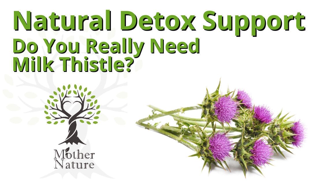 Natural Detox Support: Do You Really Need Milk Thistle?