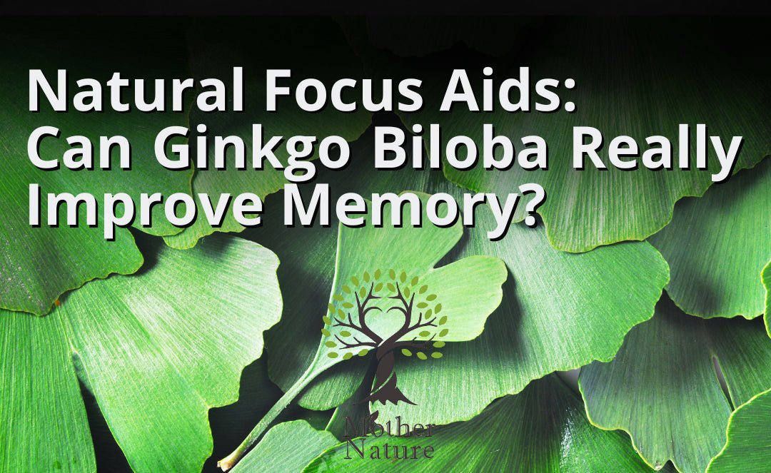 Natural Focus Aids: Can Ginkgo Biloba Really Improve Memory?