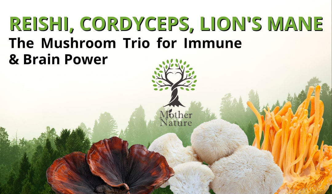 Reishi, Cordyceps, Lion's Mane: The Mushroom Trio for Immune & Brain Power