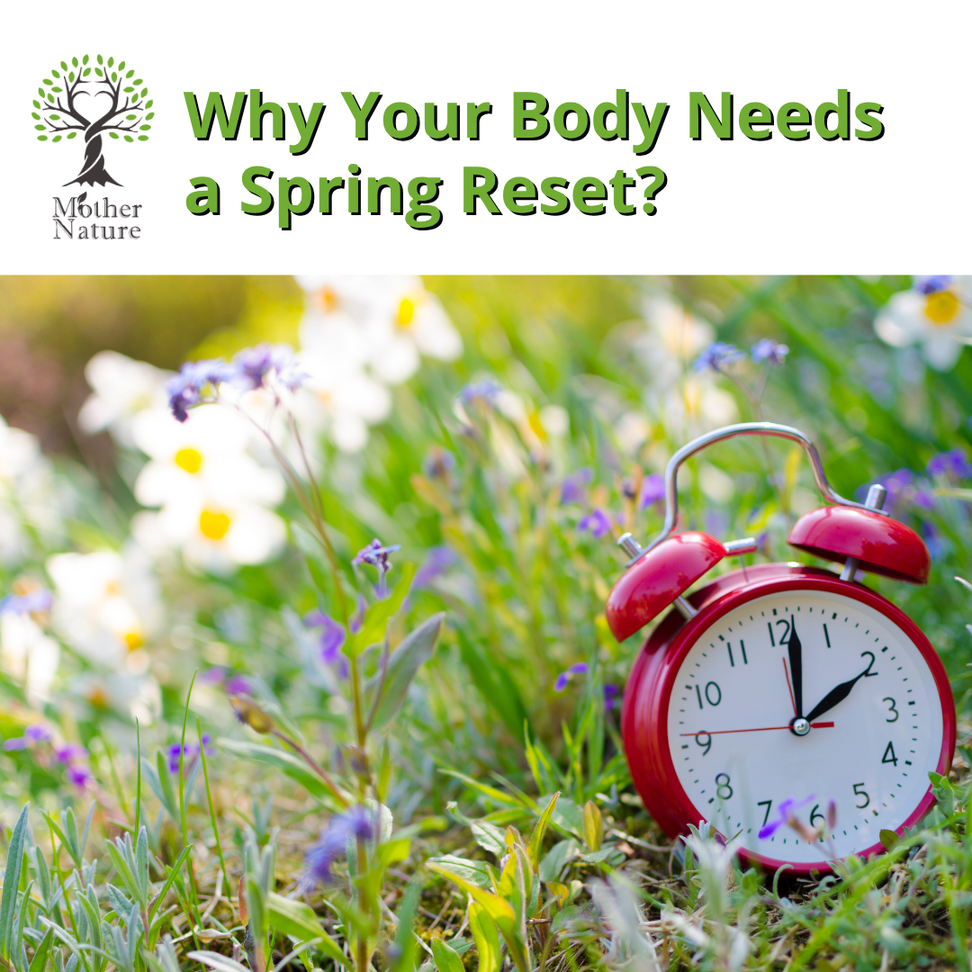Spring Reset - How to Support Your Body After Winter
