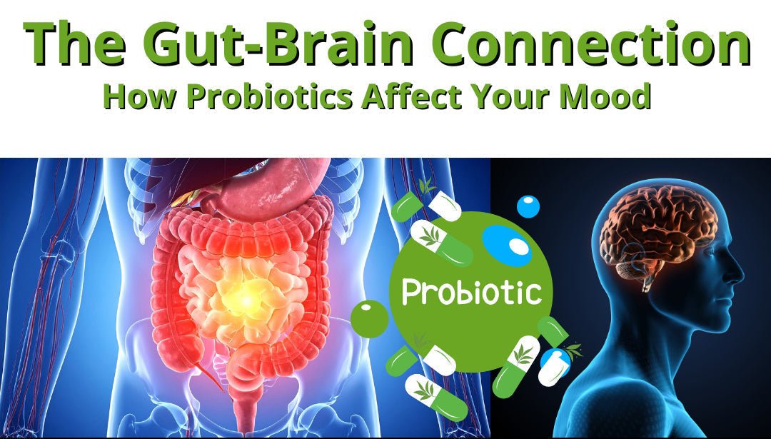 The Gut-Brain Connection: How Probiotics Affect Your Mood