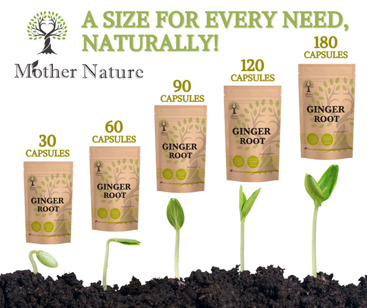 Plant Sterols Capsules 550mg 95% Natural Phytosterol Powder Vegan UK Supplement