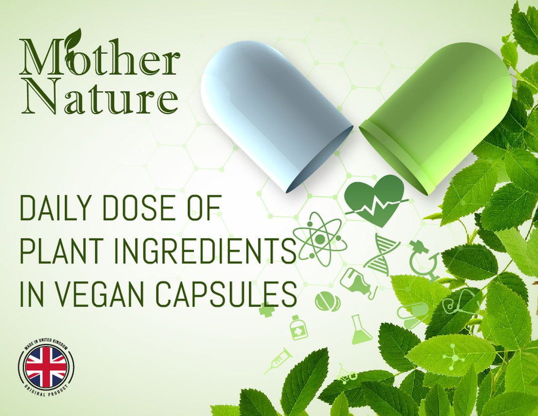 Acetyl L-Carnitine 500 mg ALCAR Amino Acid Supplement Vegan Capsul MOTHER NATURE SUPPLEMENTS Acetyl L-Carnitine 500 mg ALCAR Amino Acid Supplement Vegan Capsul MOTHER NATURE SUPPLEMENTS