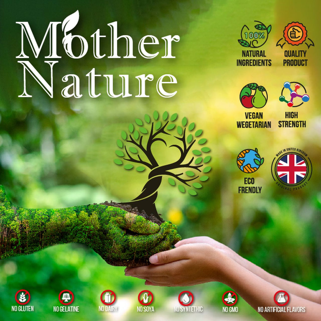 Acetyl L-Carnitine 500 mg ALCAR Amino Acid Supplement Vegan Capsul MOTHER NATURE SUPPLEMENTS Acetyl L-Carnitine 500 mg ALCAR Amino Acid Supplement Vegan Capsul MOTHER NATURE SUPPLEMENTS