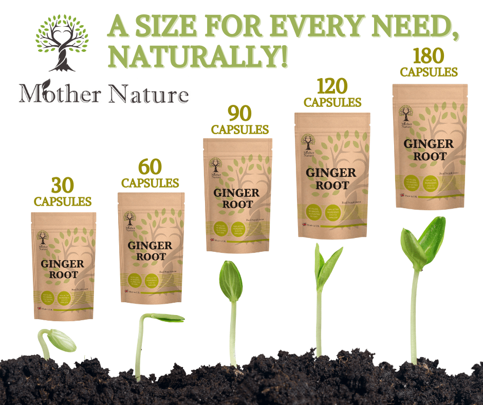 Chaga Mushroom Capsules 500mg Chaga Mushroom Powder Powder Eco - friendly Best Vegan Supplements Plant - based Holistic Health - MOTHER NATURE SUPPLEMENTSChaga Mushroom Capsules 500mg Chaga Mushroom Powder Powder Eco - friendly Best Vegan Supplements Plant - based Holistic HealthDiet Supplementss