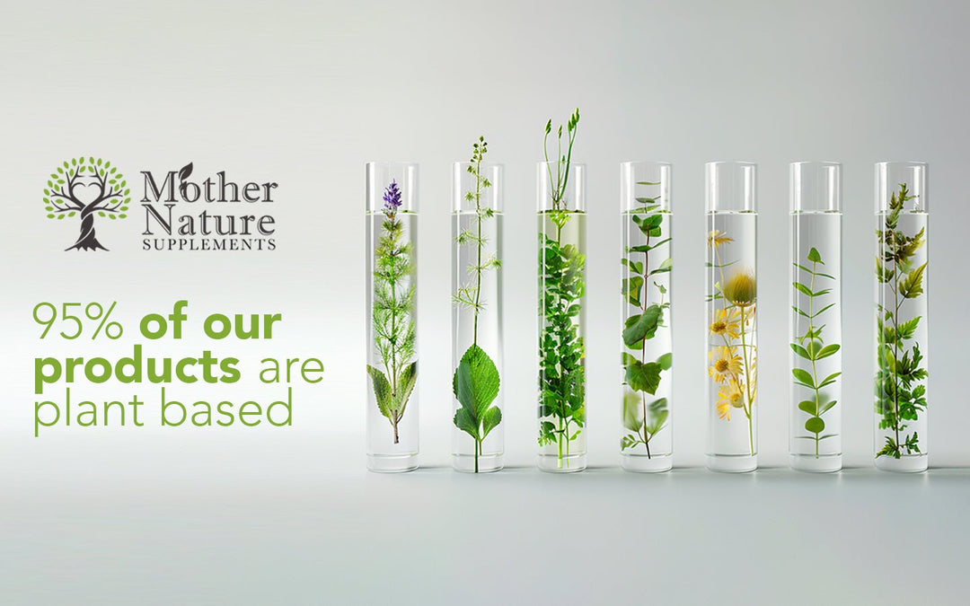 Collagen Capsules 500mg High Potency Clean Natural Collagen Type 1 Eco - friendly Best Vegan Supplements Plant - based Holistic Health - MOTHER NATURE SUPPLEMENTSCollagen Capsules 500mg High Potency Clean Natural Collagen Type 1 Eco - friendly Best Vegan Supplements Plant - based Holistic HealthDiet Supplementss