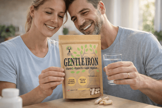 Gentle Iron Bisglycinate 28mg with Vitamin C, B12 & Magnesium – Vegan Capsules | Mother Nature - MOTHER NATURE SUPPLEMENTSGentle Iron Bisglycinate 28mg with Vitamin C, B12 & Magnesium – Vegan Capsules | Mother NatureDiet Supplementss