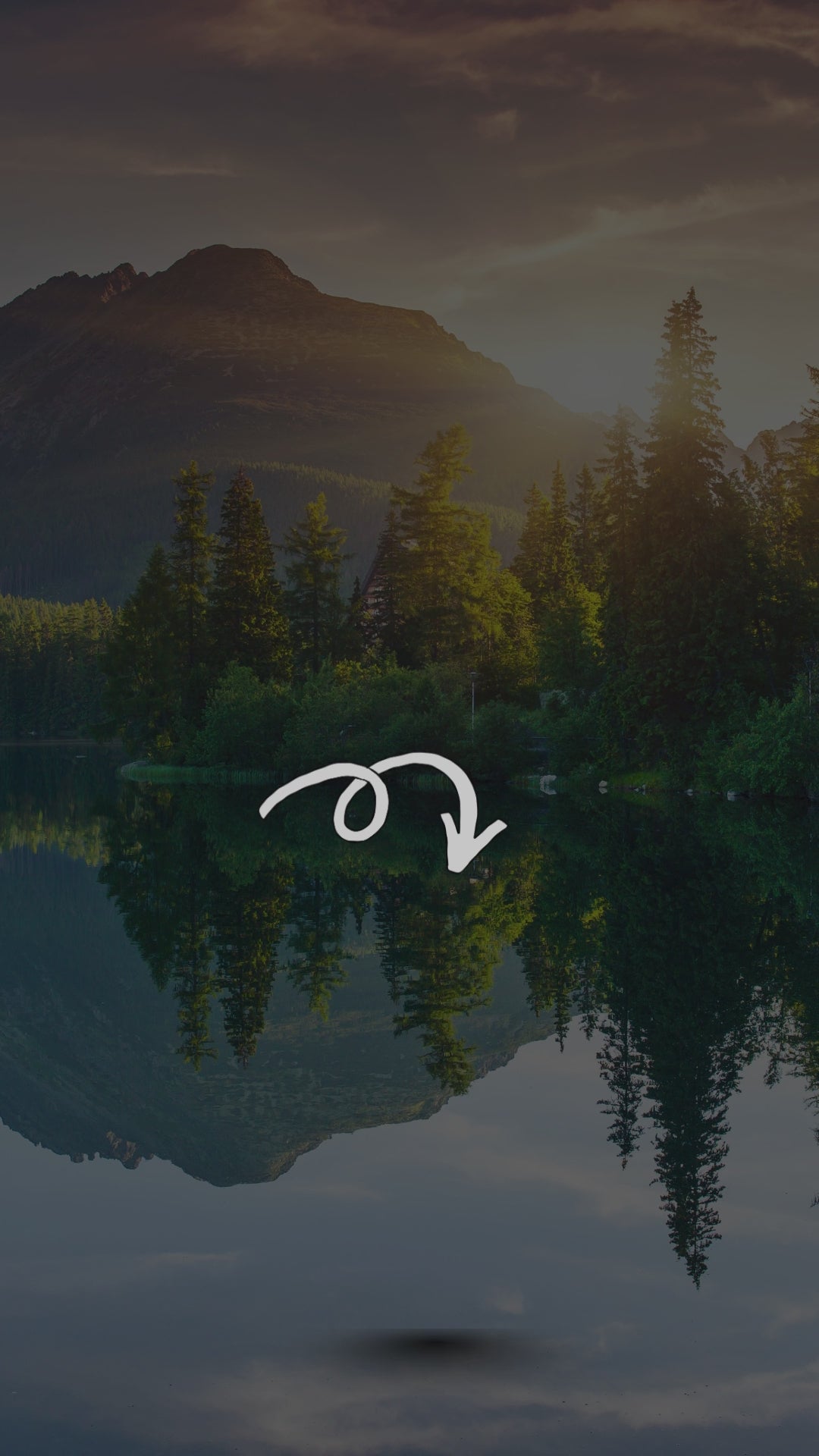 Agarikon Mushroom 500 mg – Vegan Mushroom Supplement Capsules – Clean Formula – Mother Nature