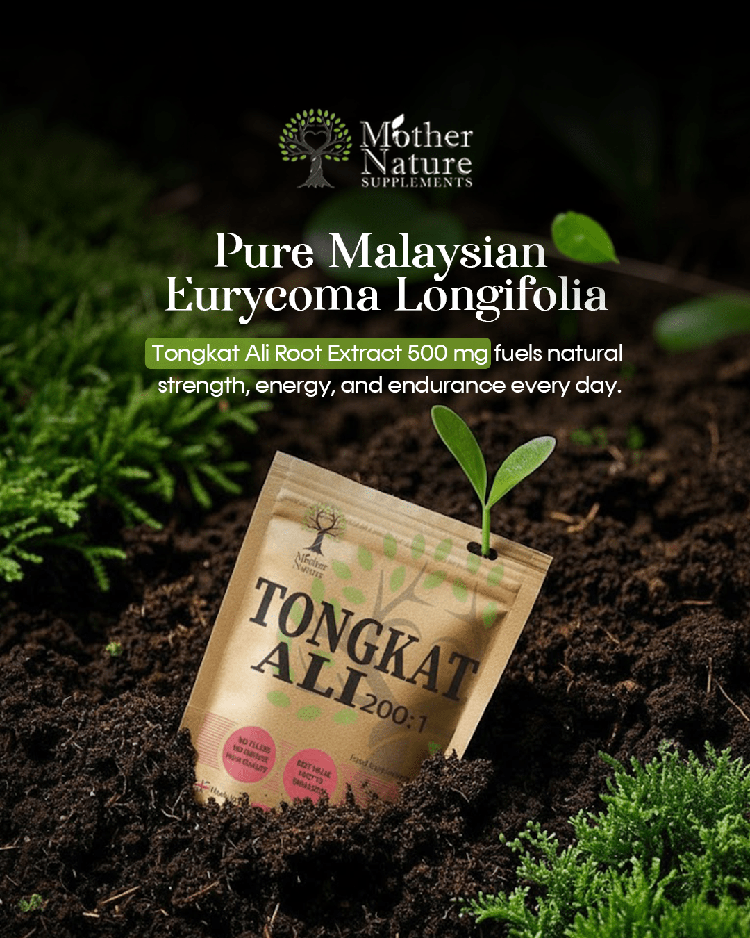 Tongkat Ali Root Extract 500 mg – Vegan Capsules – 200:1 Malaysian Eurycoma longifolia – Plant - Based Formula – Mother Nature - MOTHER NATURE SUPPLEMENTSTongkat Ali Root Extract 500 mg – Vegan Capsules – 200:1 Malaysian Eurycoma longifolia – Plant - Based Formula – Mother NatureDiet Supplementss