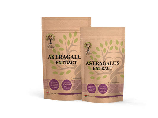 Astragalus Capsules 550mg Clean Natural Astragalus Powder Vegan Supplements